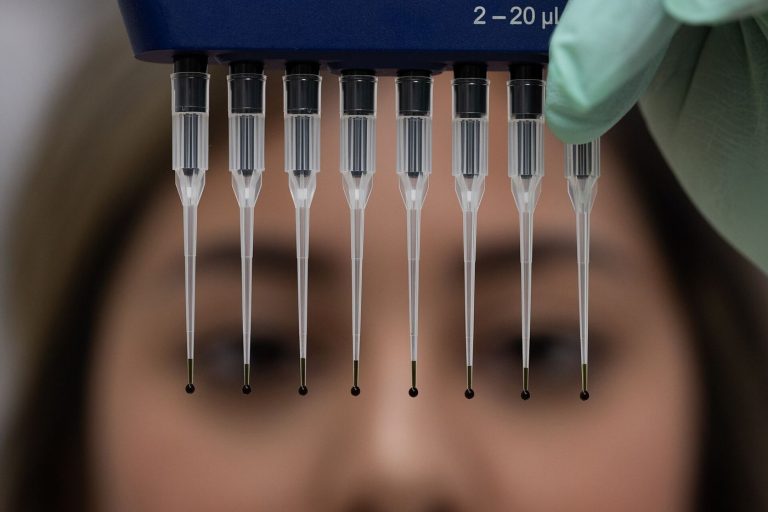 Gut Microbiome Research Reveals Complex Links to Health scientist examining samples in research laboratory